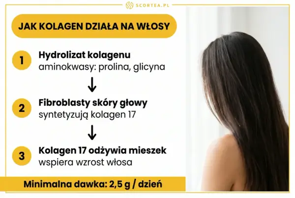 Kolagen na włosy - kiedy działa i jak ocenić efekty